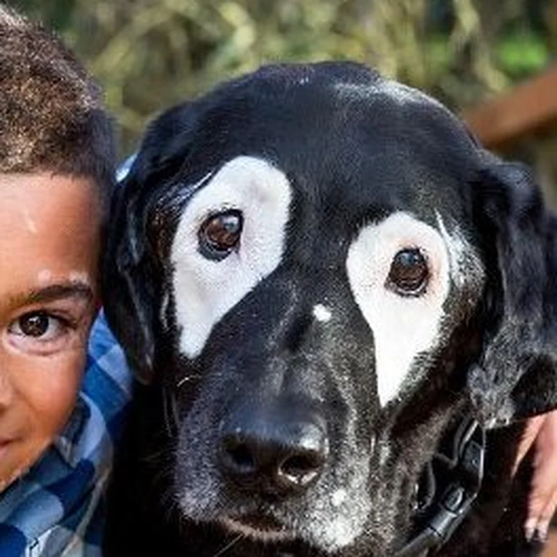 Close crop of Rowdy's full face showing his vitiligo markings beside part of Carter's face